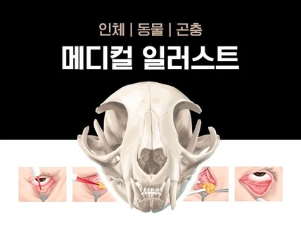 인체 및 동물 메디컬 일러스트