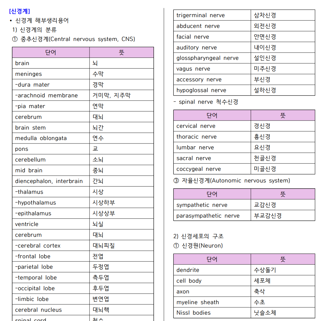 계통별 의학용어 총정리 모음집 - 크몽