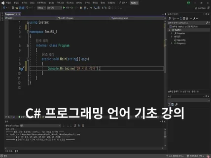 C# 프로그래밍 언어 기초 온라인 과외