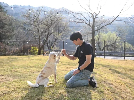 한지훈 훈련사의 방문훈련으로 행동교정하기