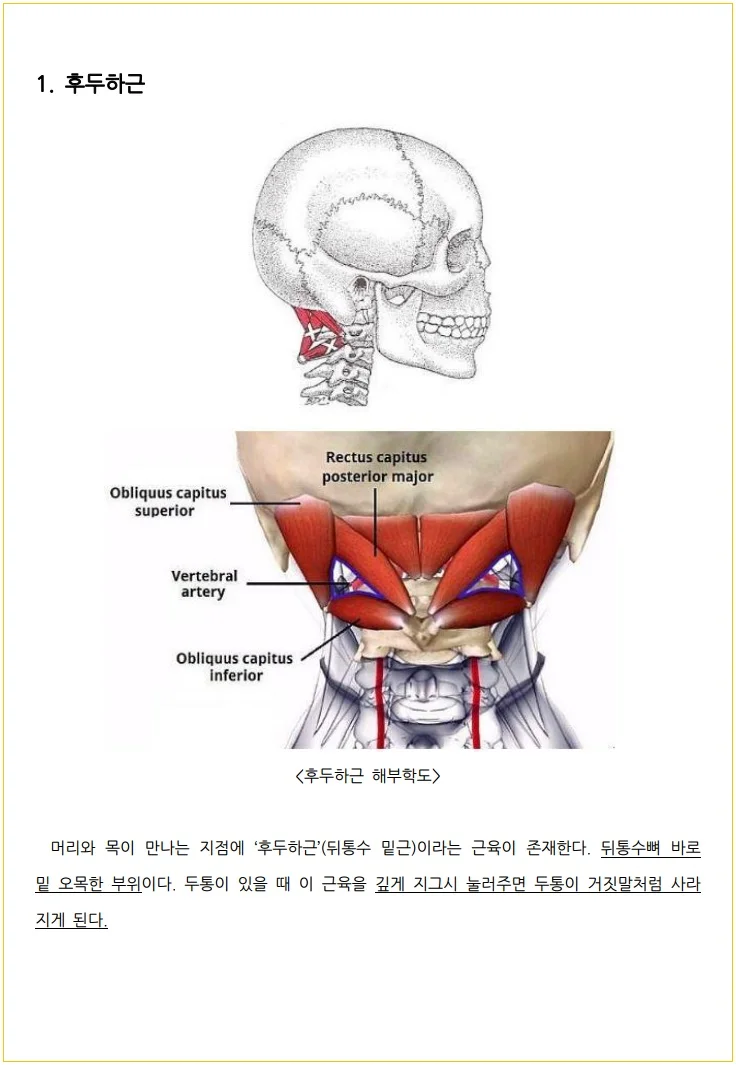 상세이미지-6