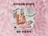 화장품 전문 영어번역