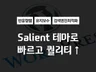 소상공인을 위한 워드프레스 Salient 테마 제작