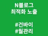최적화 블로그 24시간 건바이 월관리 최적화 노출진행
