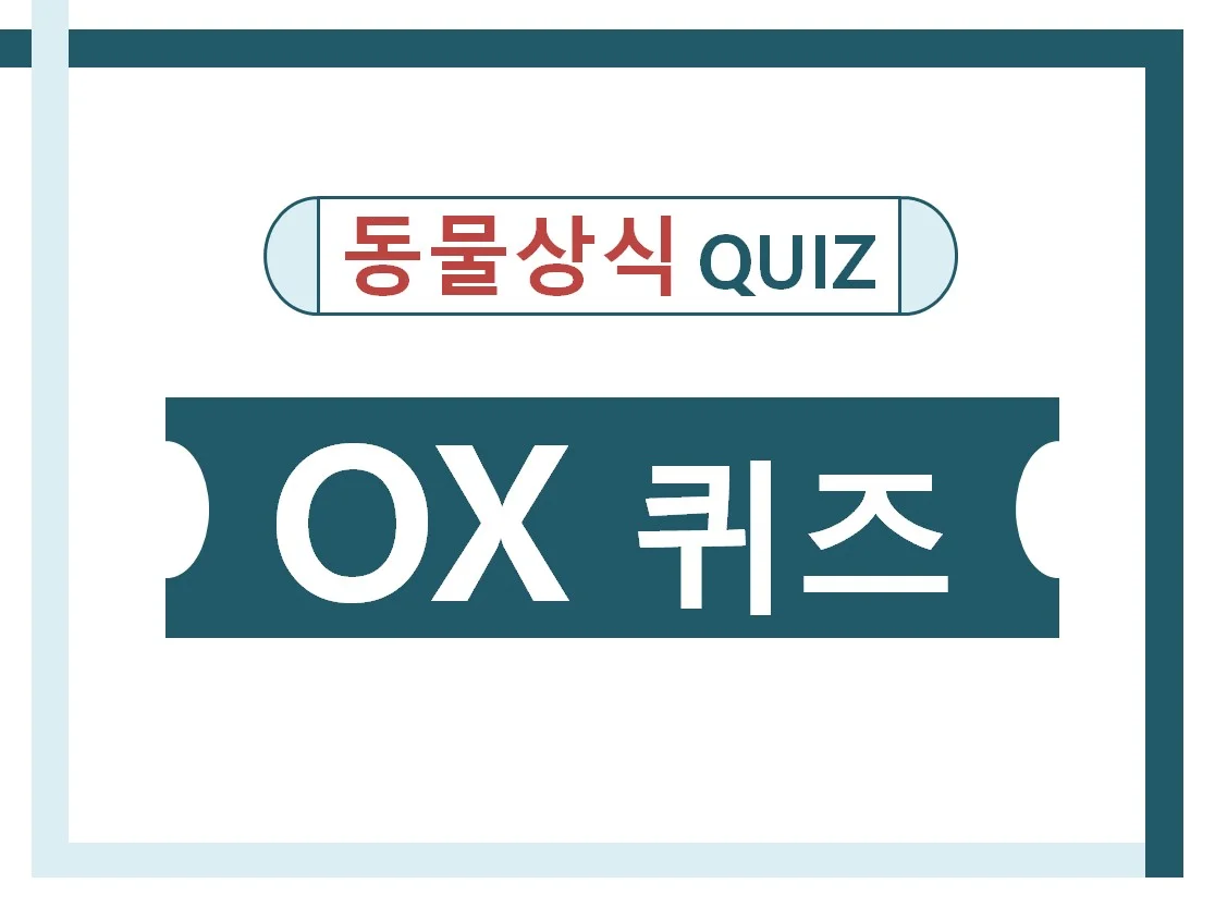 상세이미지-0