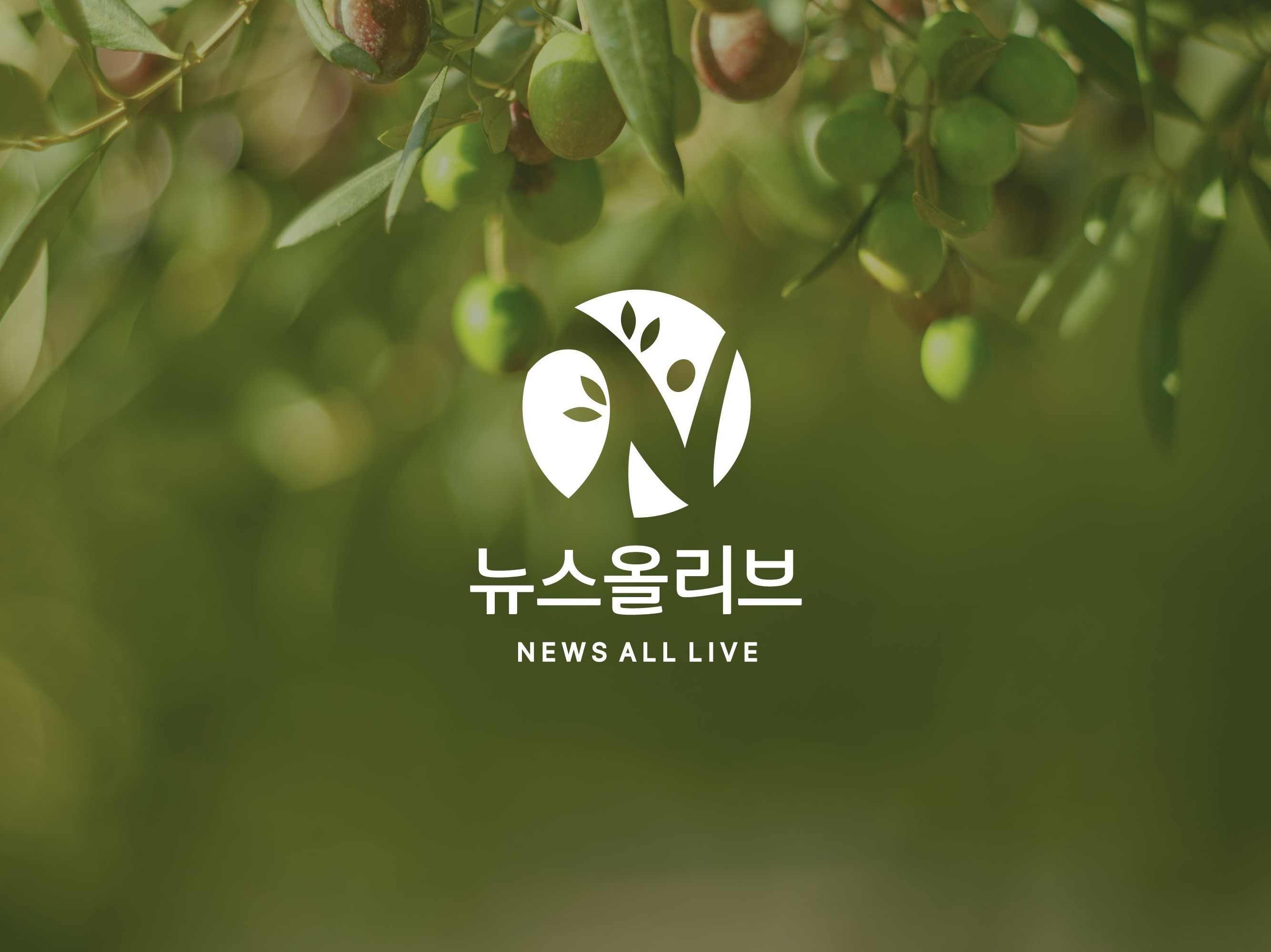 포트폴리오