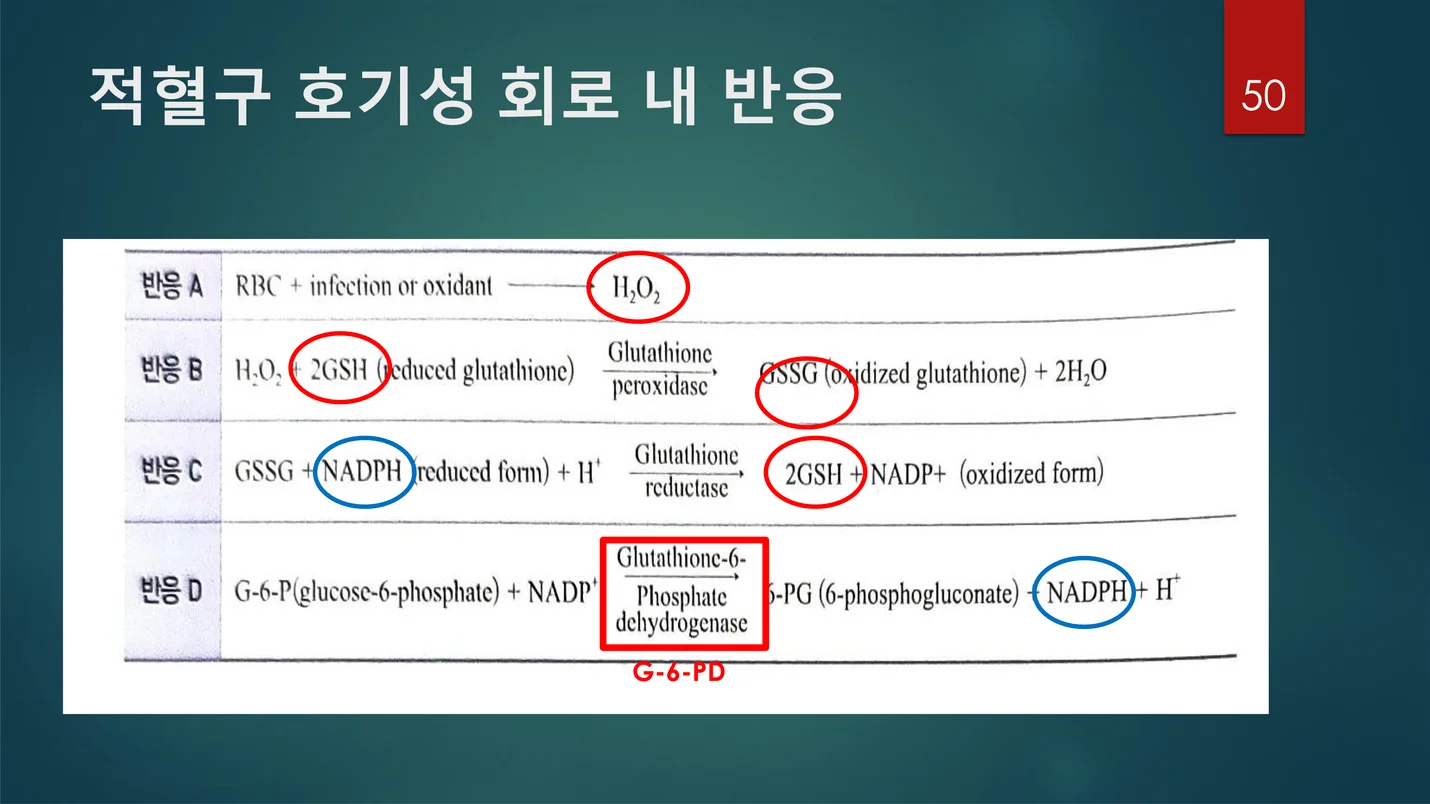 상세이미지-5