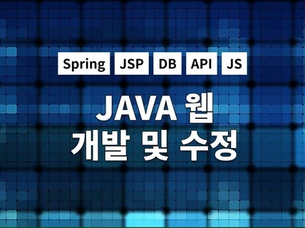 JAVA, API, JSP, DB 개발/유지보수 전문