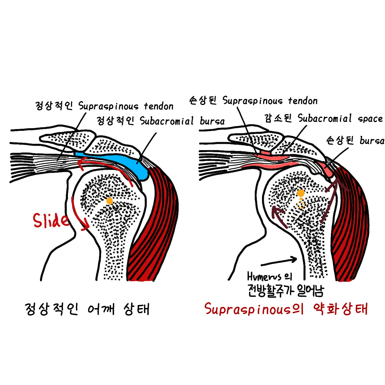 상세이미지-4