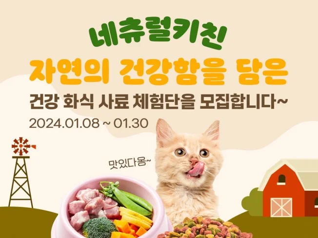 SNS콘텐츠디자인 카드뉴스, 배너, 팝업 제작 썸네일