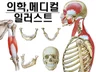 의학 메디컬 / 해부학 그림 드로잉 스케치 작업