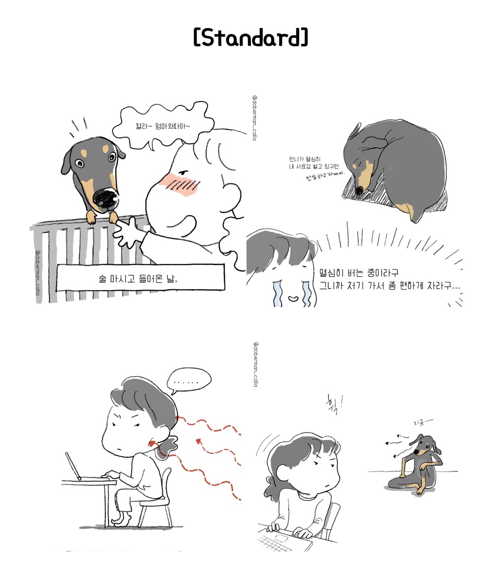 상세이미지-0