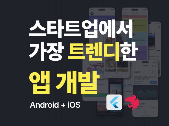 안드로이드 iOS 동시 Flutter 모바일 앱 개발