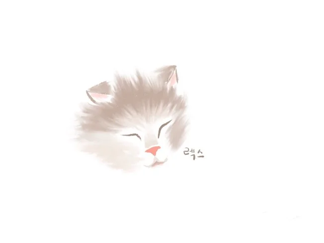 메인 이미지