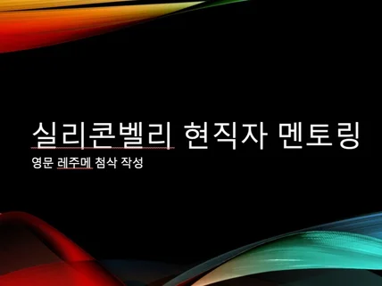 실리콘밸리 빅테크 SWE 시니어레벨 현직자 상담