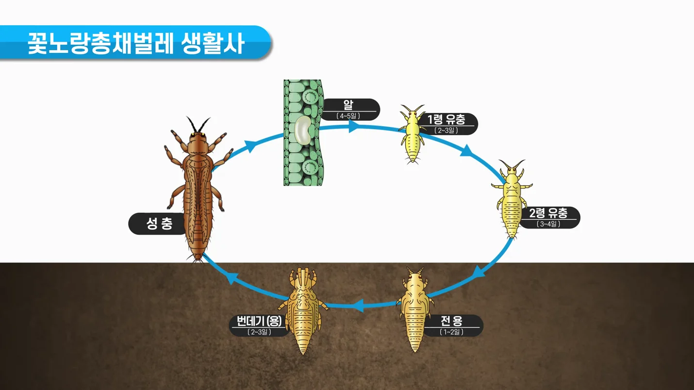 상세이미지-5