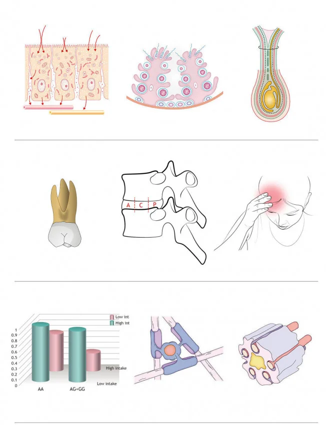 상세이미지-0