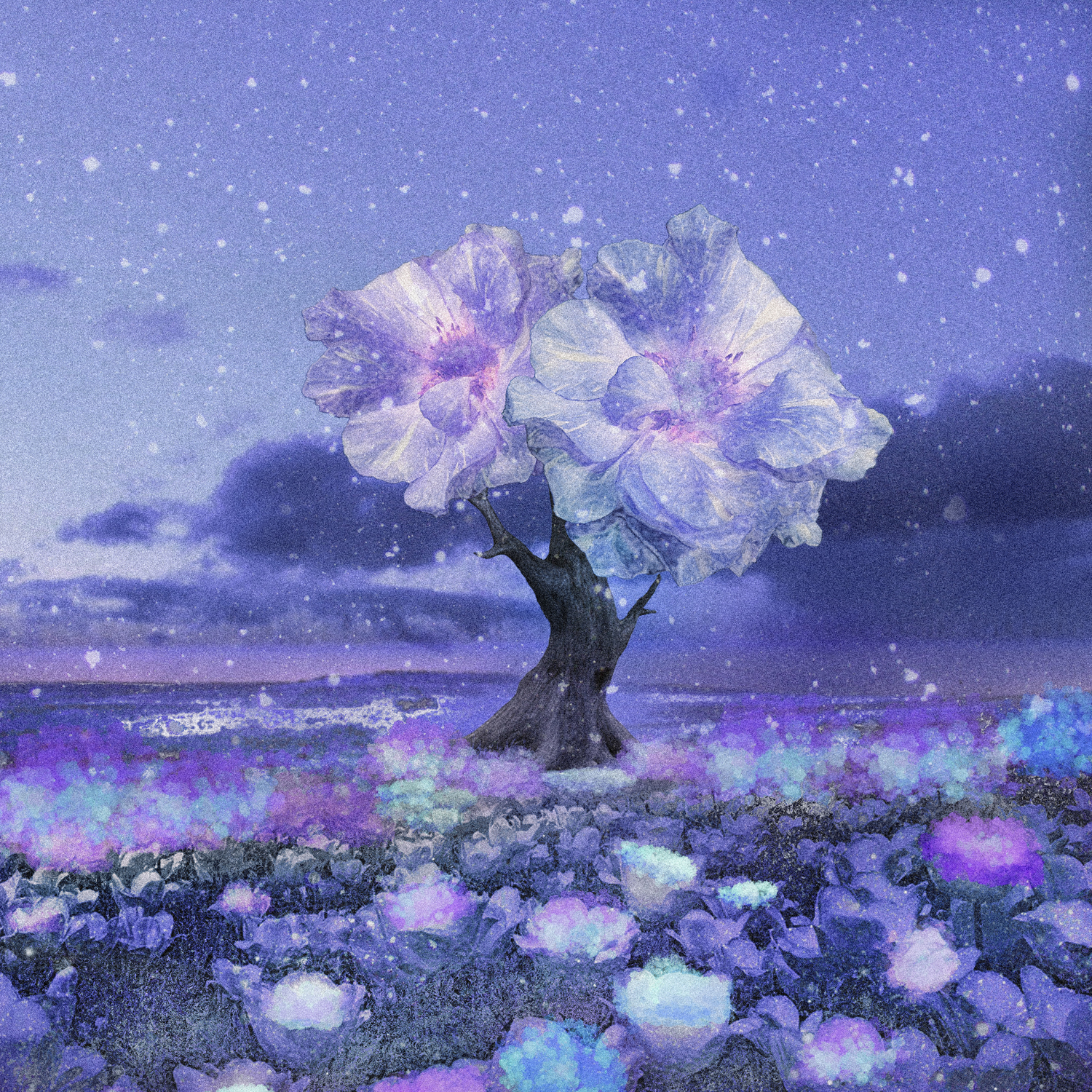 상세이미지-4