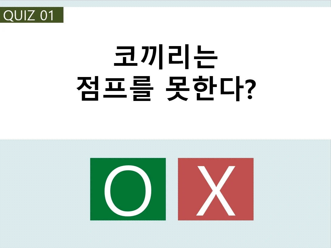 상세이미지-1