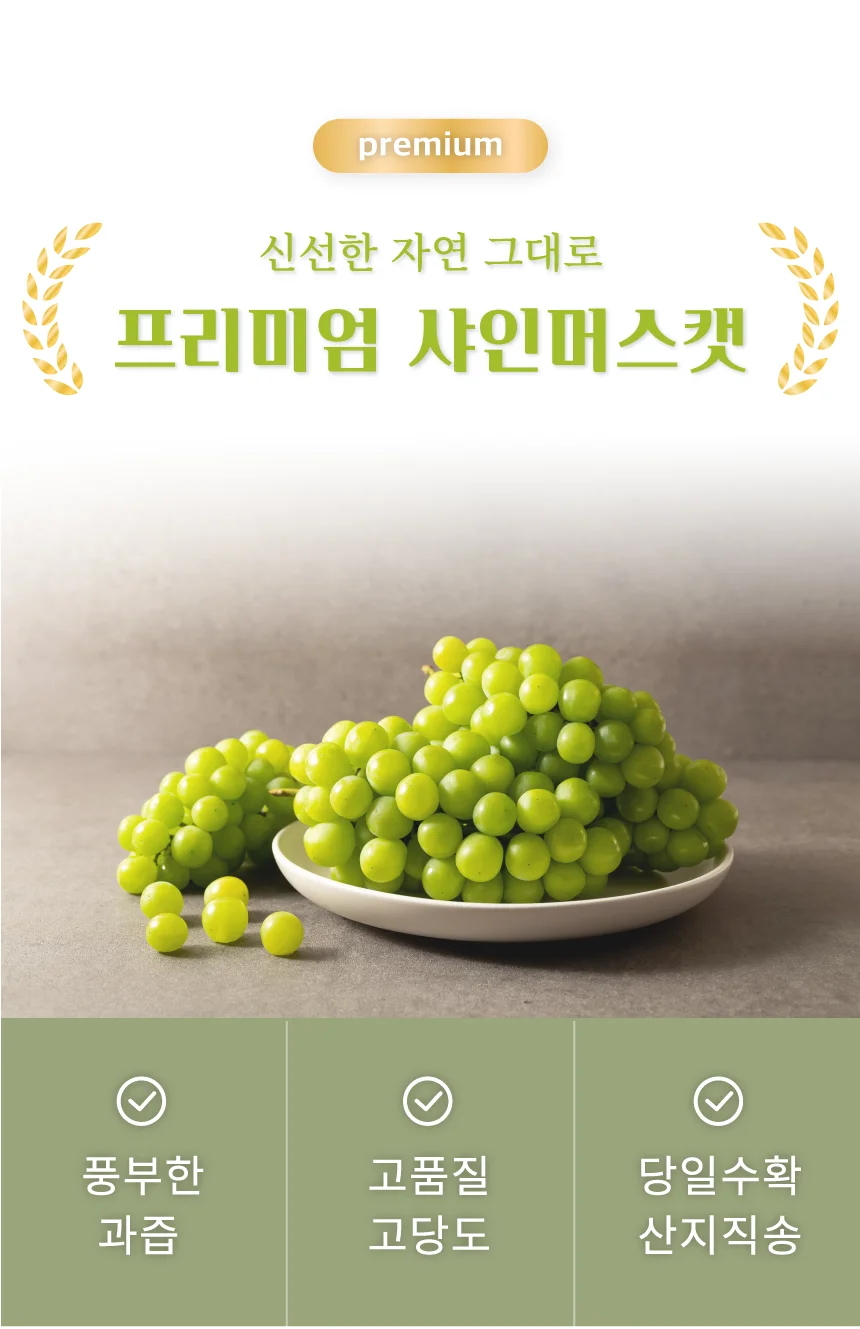 상세이미지-4