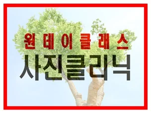 포트폴리오