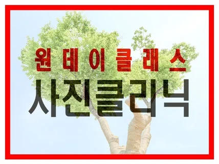 사진촬영기초부터 활용까지 당신의 사진을 치료해 드립니다