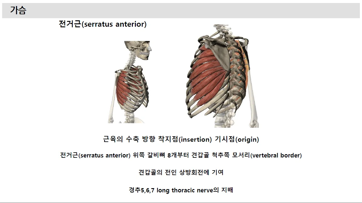 상세이미지-2