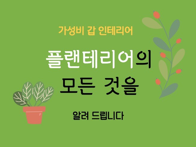메인 이미지