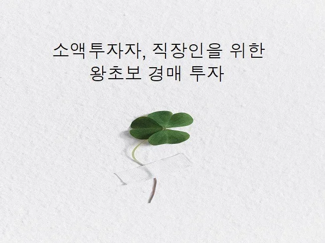 메인 이미지