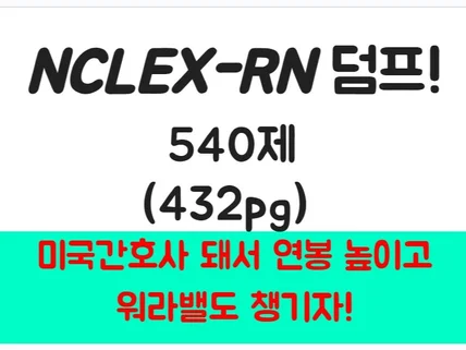 NCLEX 미국간호사 나홀로 시험대비 540제 덤프