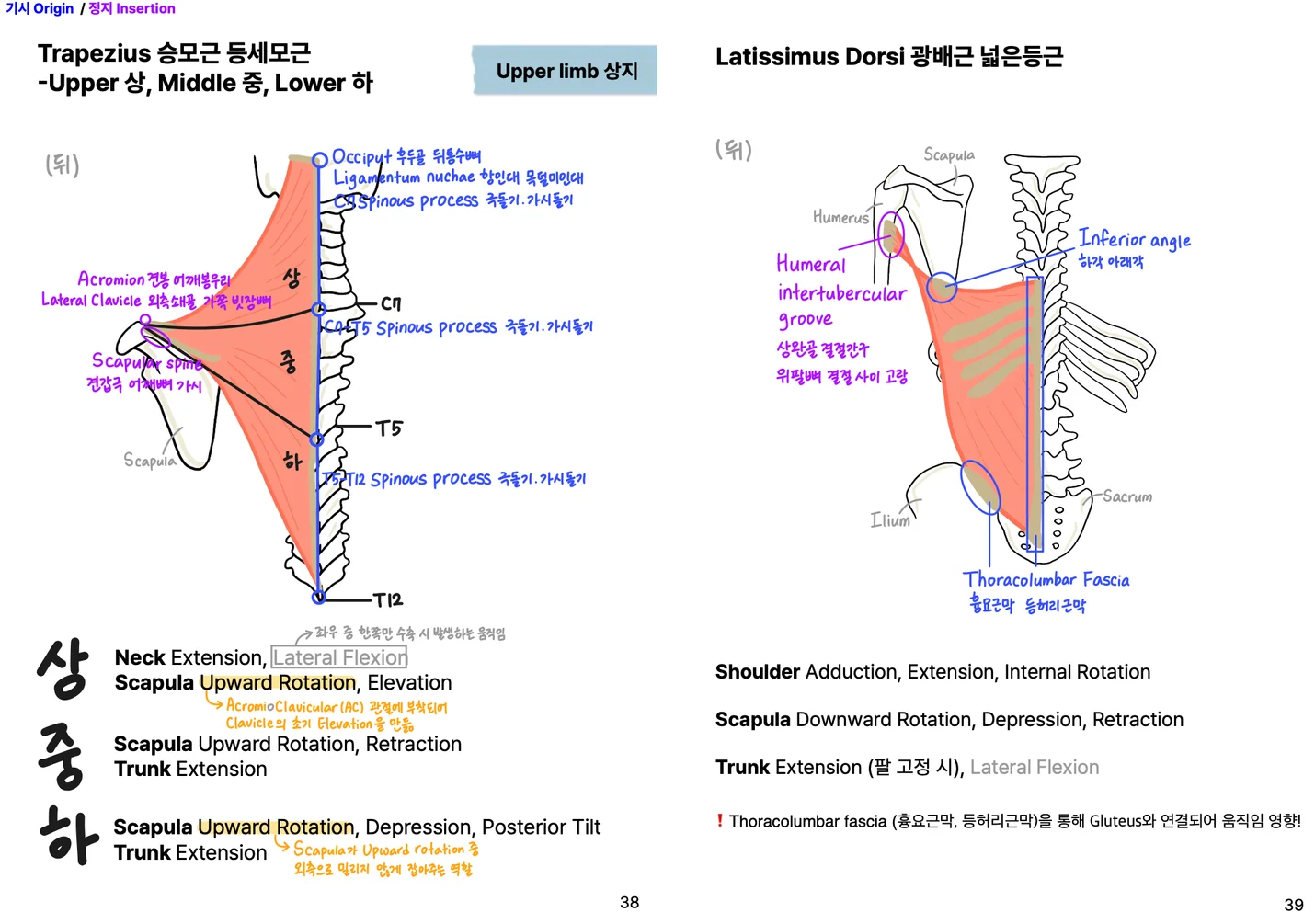 상세이미지-3