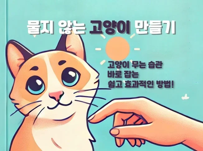 메인 이미지