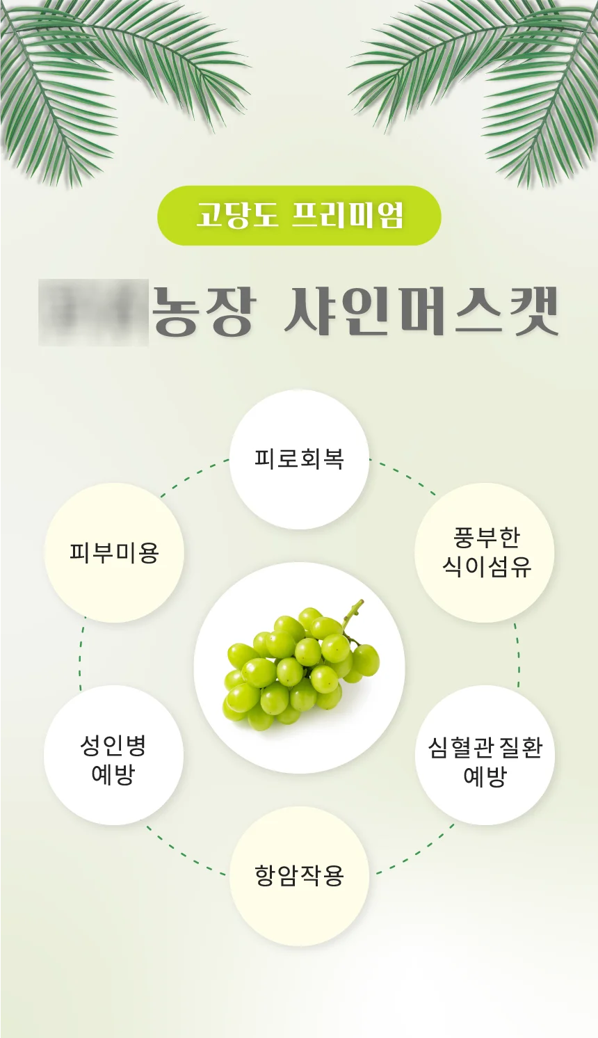 상세이미지-5