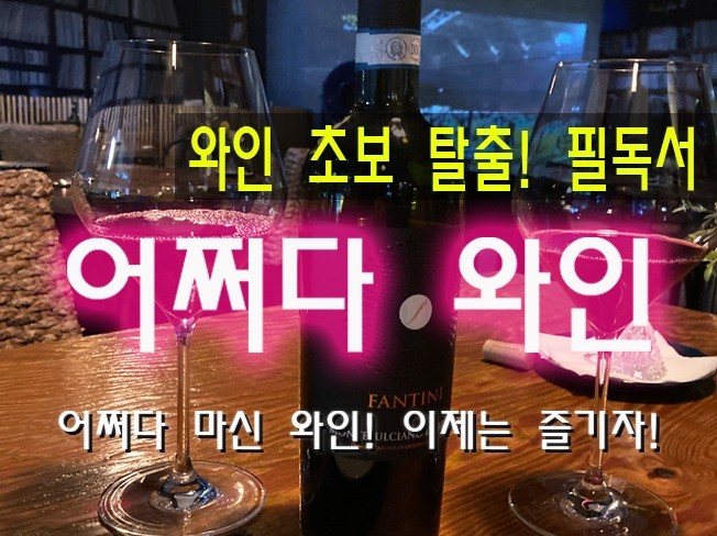 어쩌다 와인.와인 초보 탈출 즐거움을 드립니다.