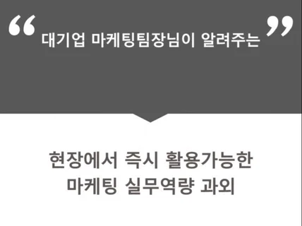 대기업 마케팅 팀장님이 알려주는, 마케팅 실무역량 과외