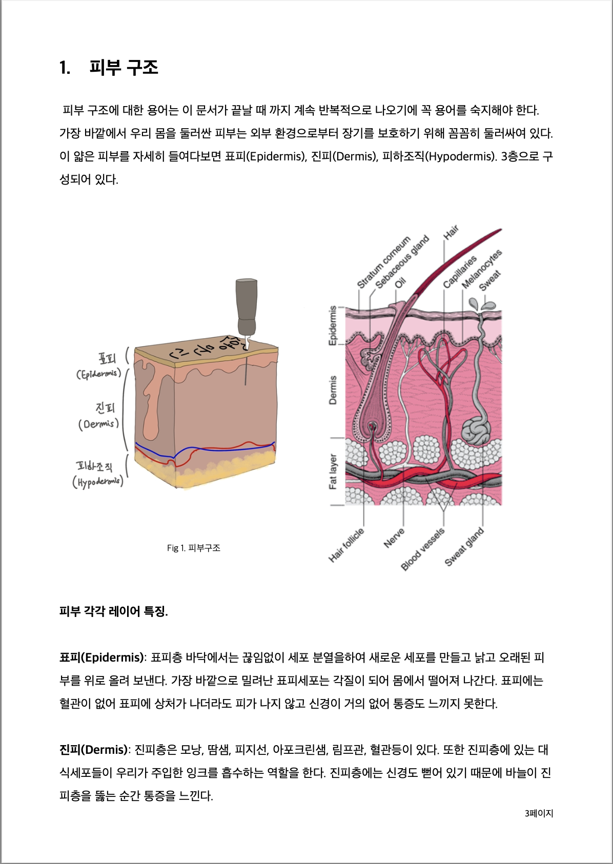 피부 다이어그램 문신의 레이어