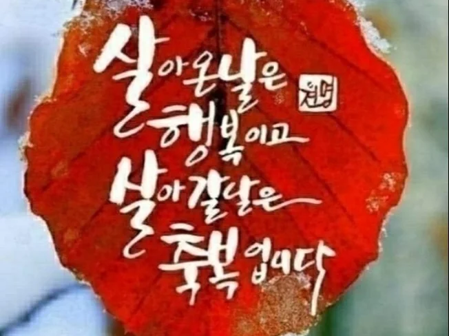 메인 이미지