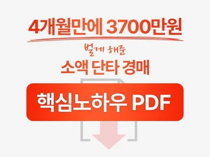 4개월에 3700만원 벌었던 부동산 경매 노하우 PDF