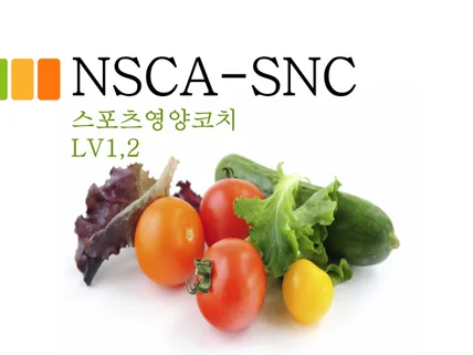 NSCA-SNC스포츠영양코치