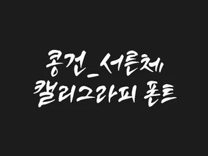 포트폴리오