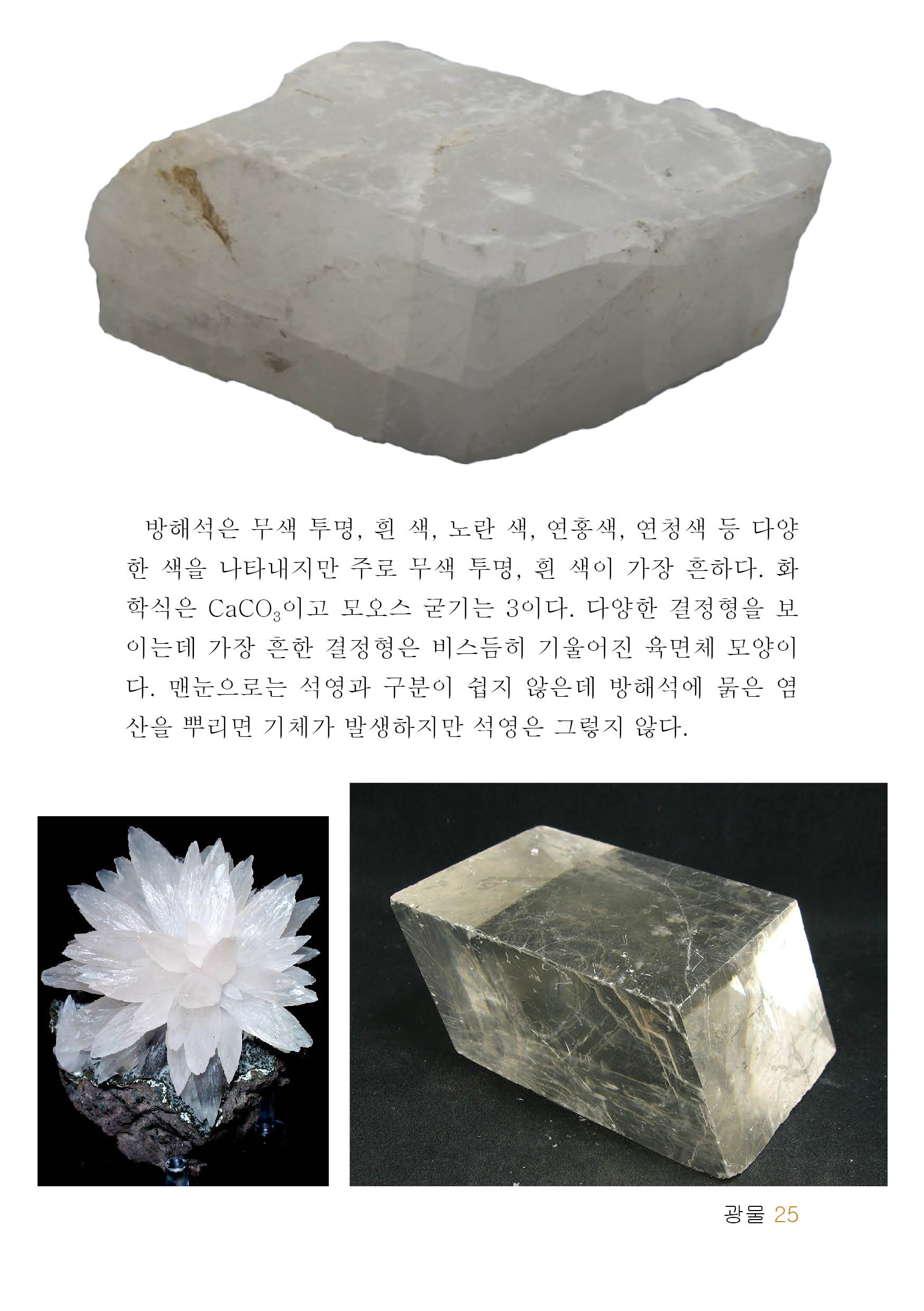 암석, 광물, 화석, 운석, 지질구조의 사진 도감 - 크몽