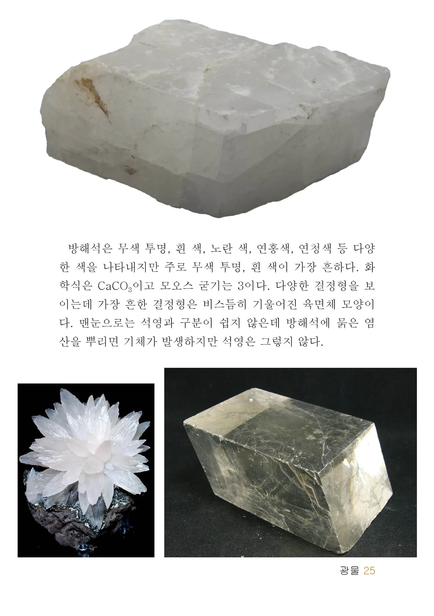 암석, 광물, 화석, 운석, 지질구조의 사진 도감 - 크몽
