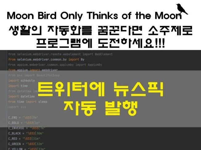 트위터 자동 발행 프로그램