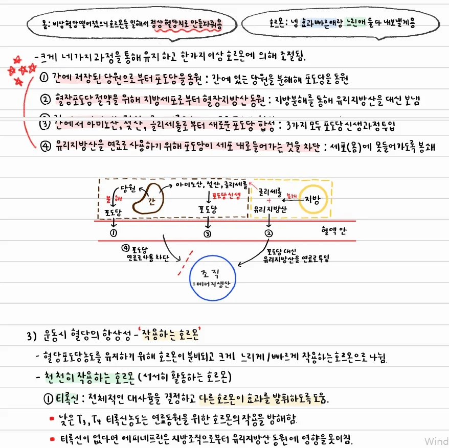 상세이미지-4