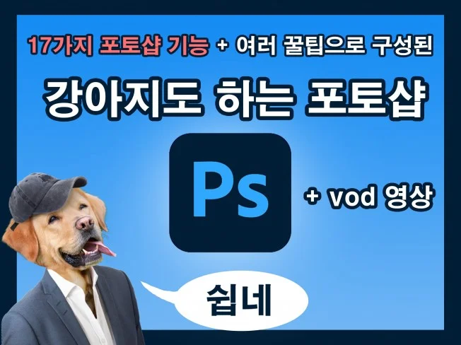 메인 이미지