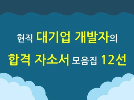 현직 대기업 개발자가 드리는 합격 자소서 모음집 12선