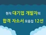 현직 대기업 개발자가 드리는 합격 자소서 모음집 12선