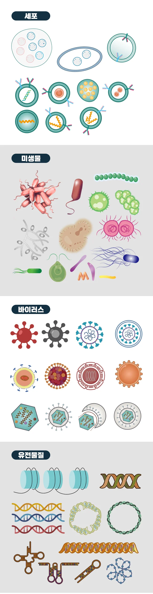 상세이미지-2