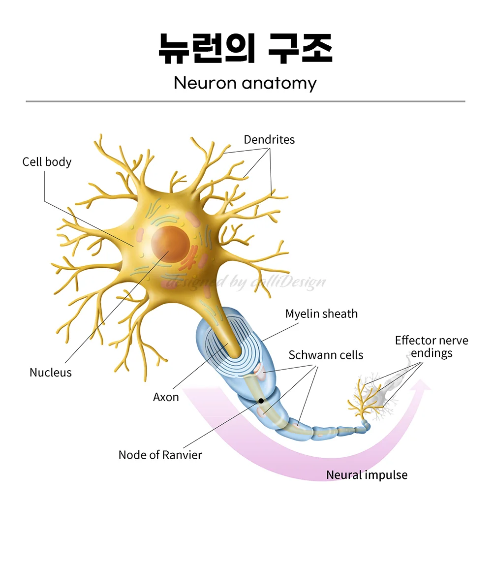 상세이미지-7