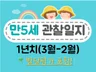 만5세 1년치 관찰일지 12-13명1학기 2학기